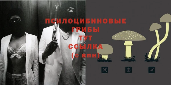 трава Армянск