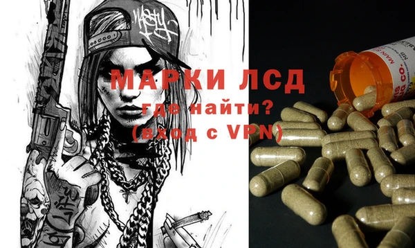 гидра Аркадак