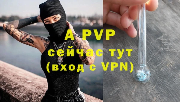 гидра Аркадак