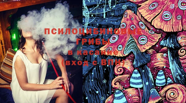 ПСИЛОЦИБИНОВЫЕ ГРИБЫ Нягань