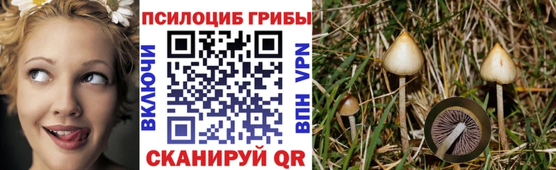 Псилоцибиновые грибы GOLDEN TEACHER  Приморск 